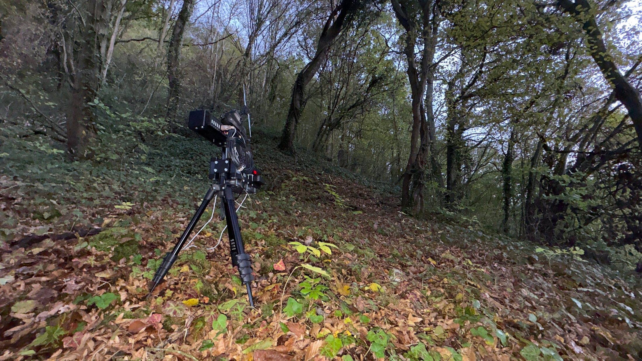 Radio recording kit on a tripod in an autumn forest